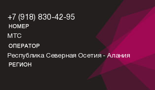 9188304295